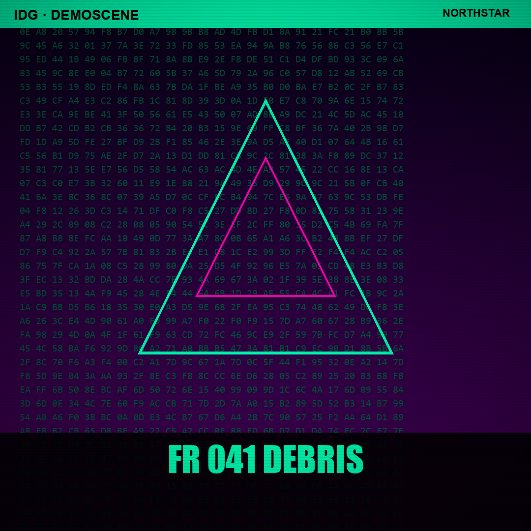 fr-041 Debris