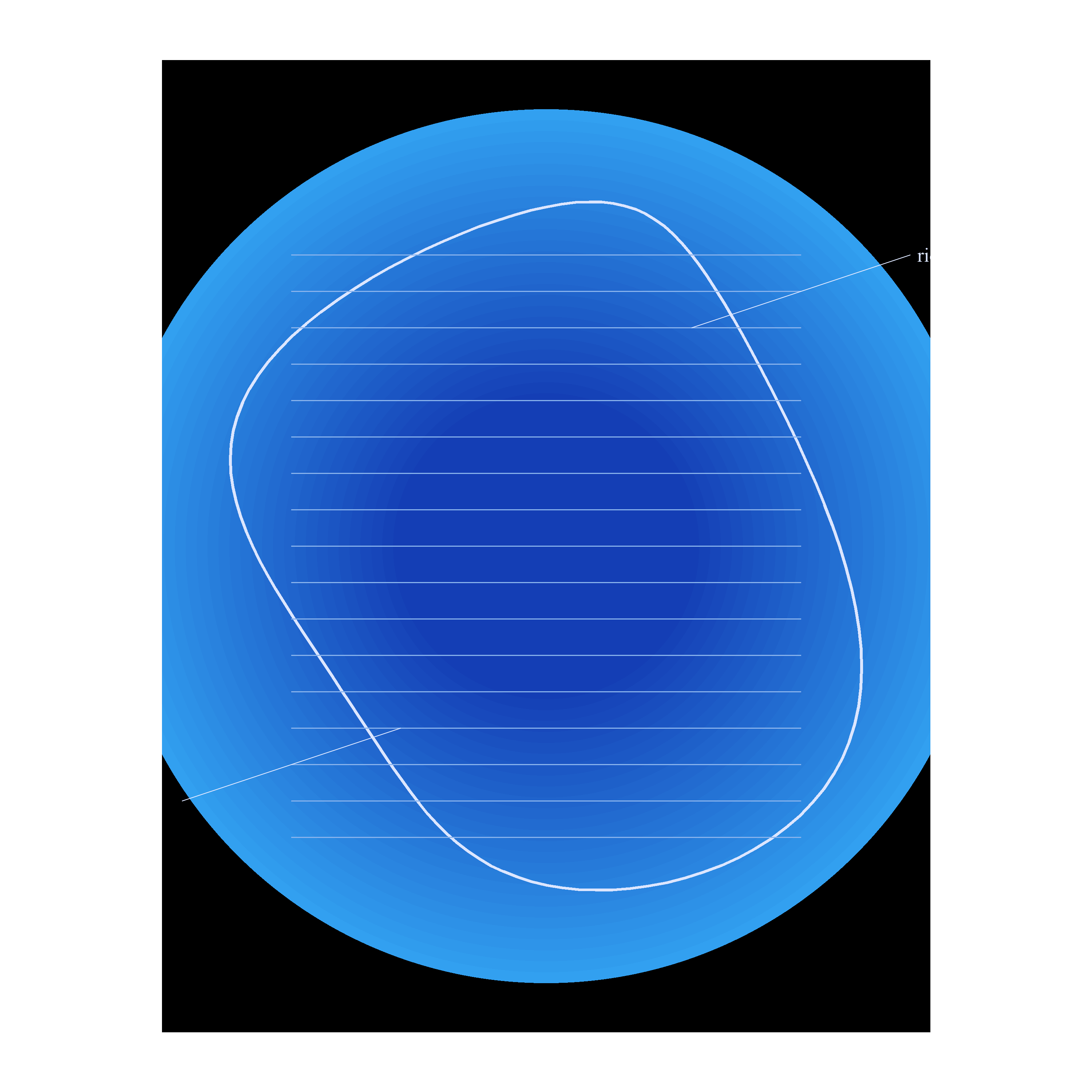 Morpho Wing Section