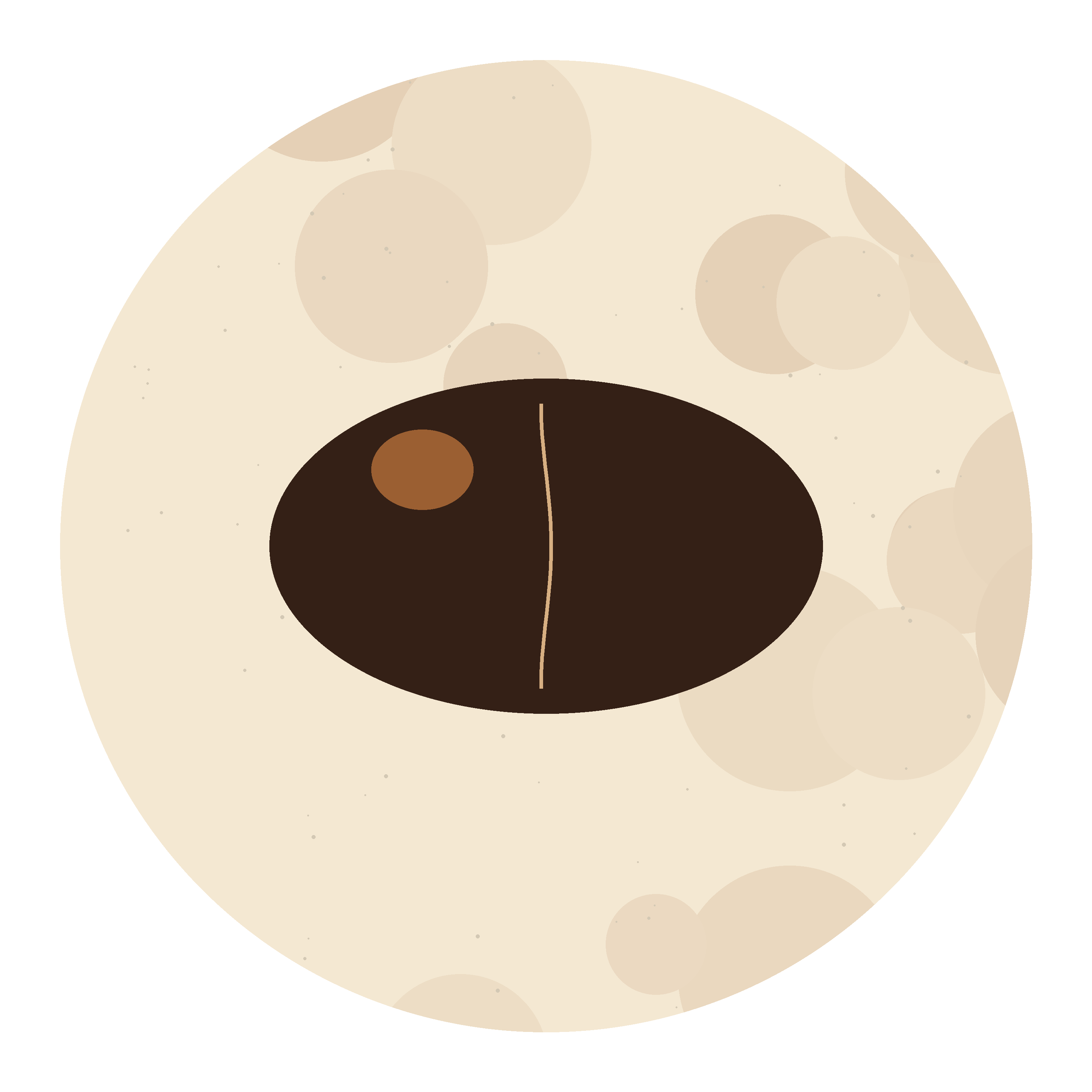 Single Bean