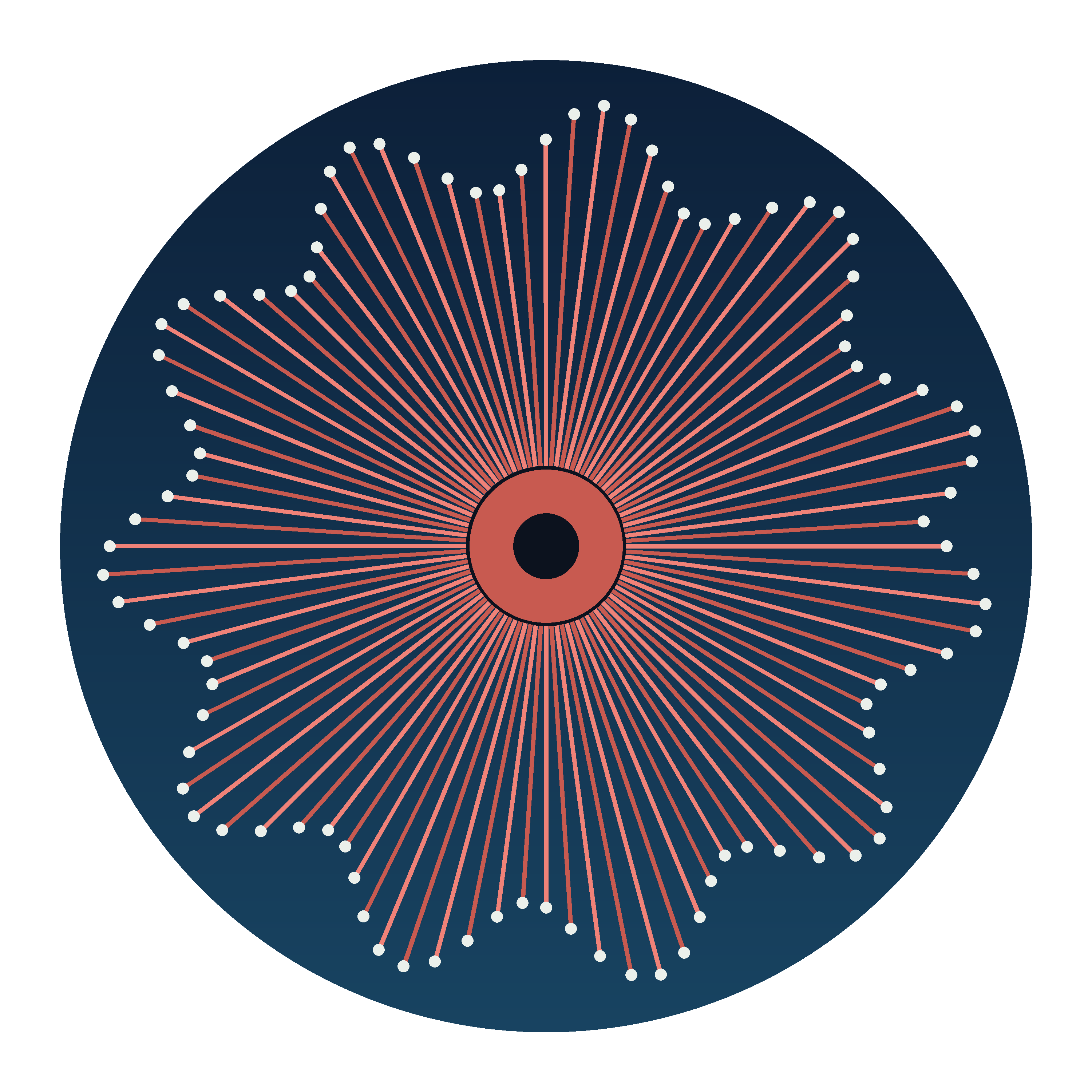 Sea Anemone