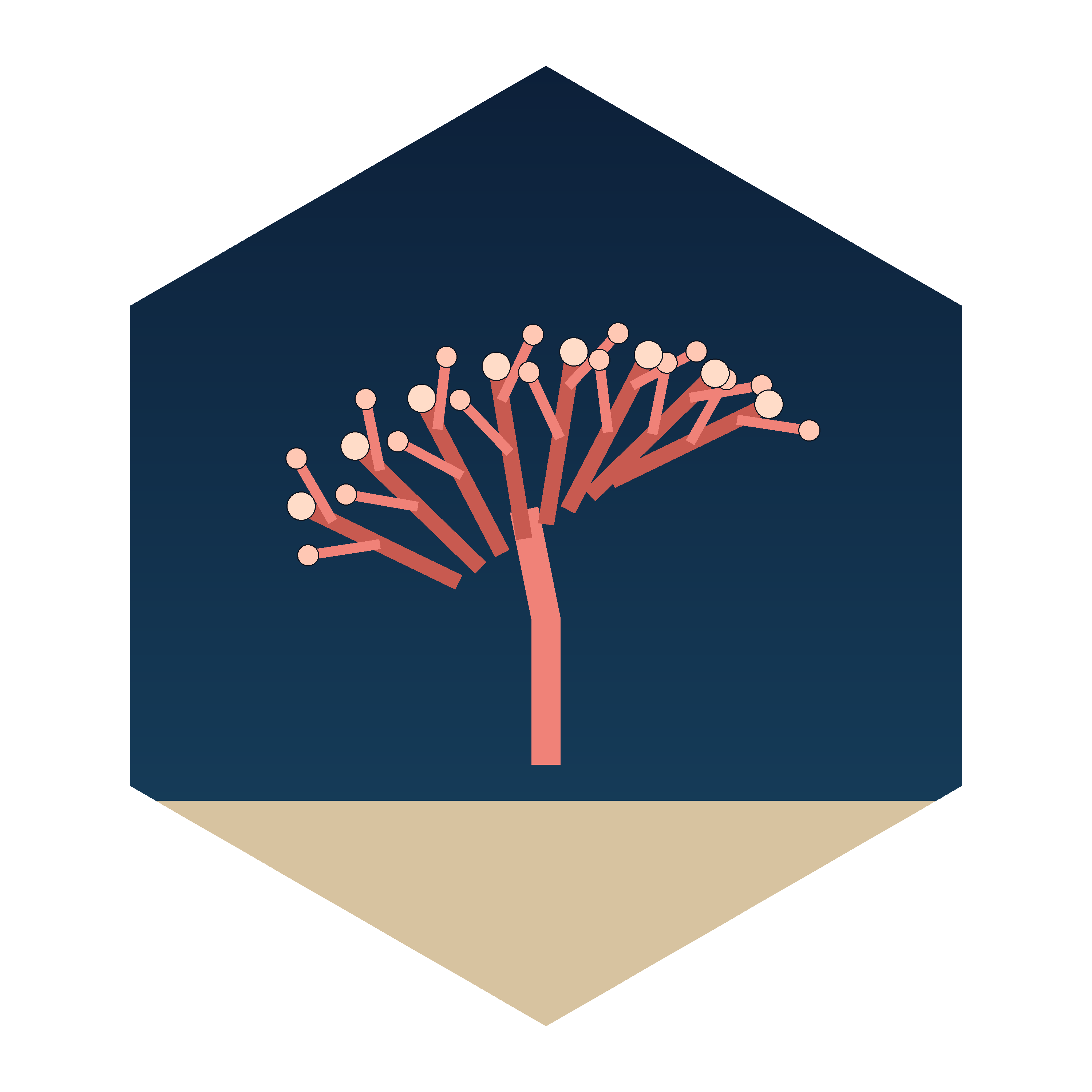 Coral Polyp