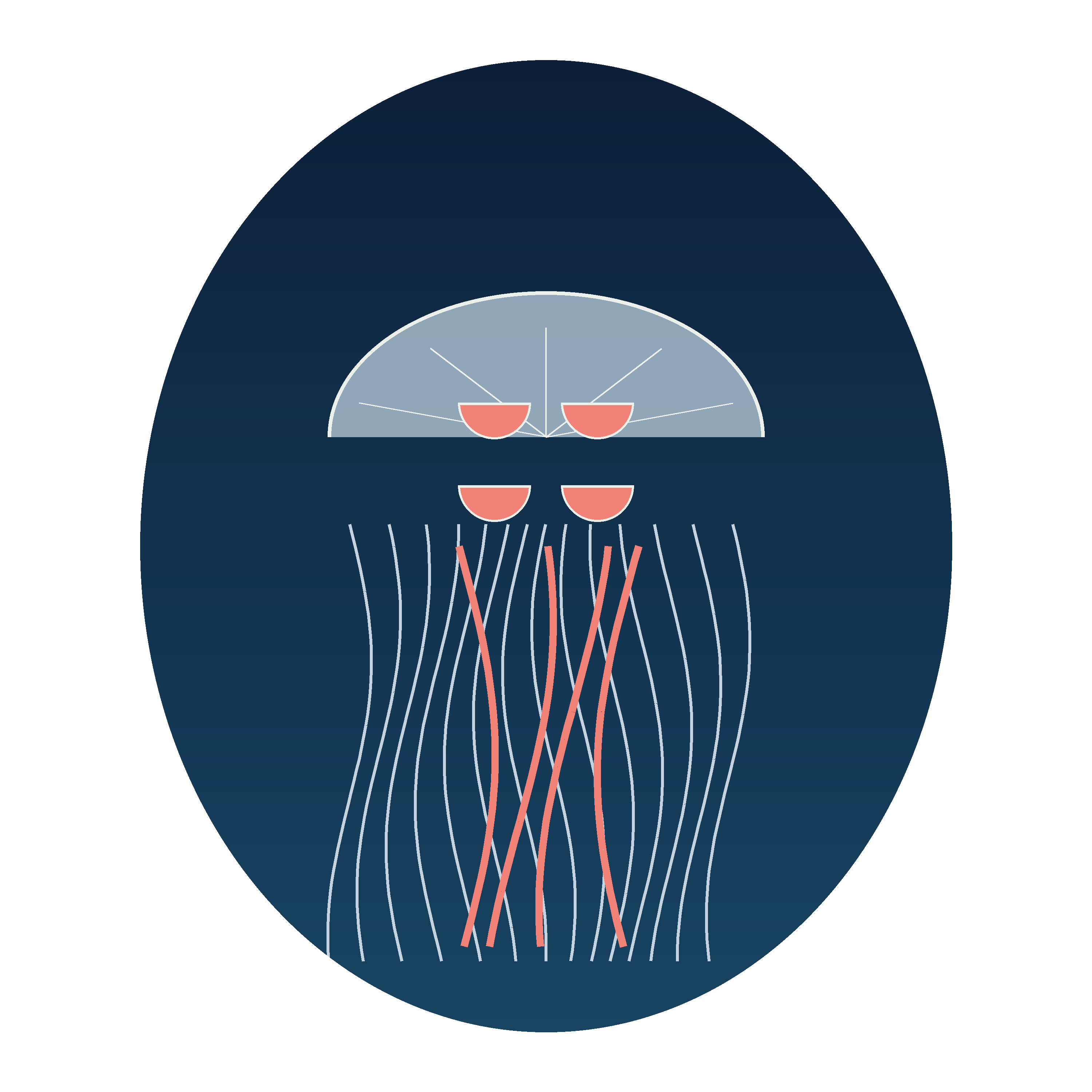 Moon Jellyfish