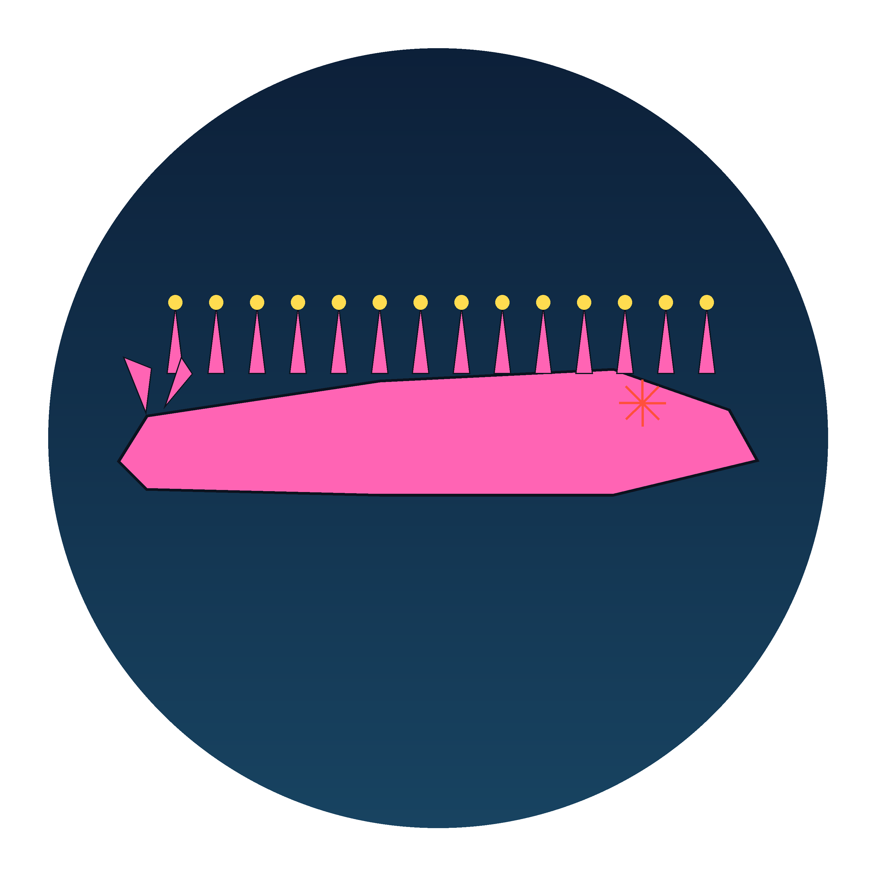 Nudibranch