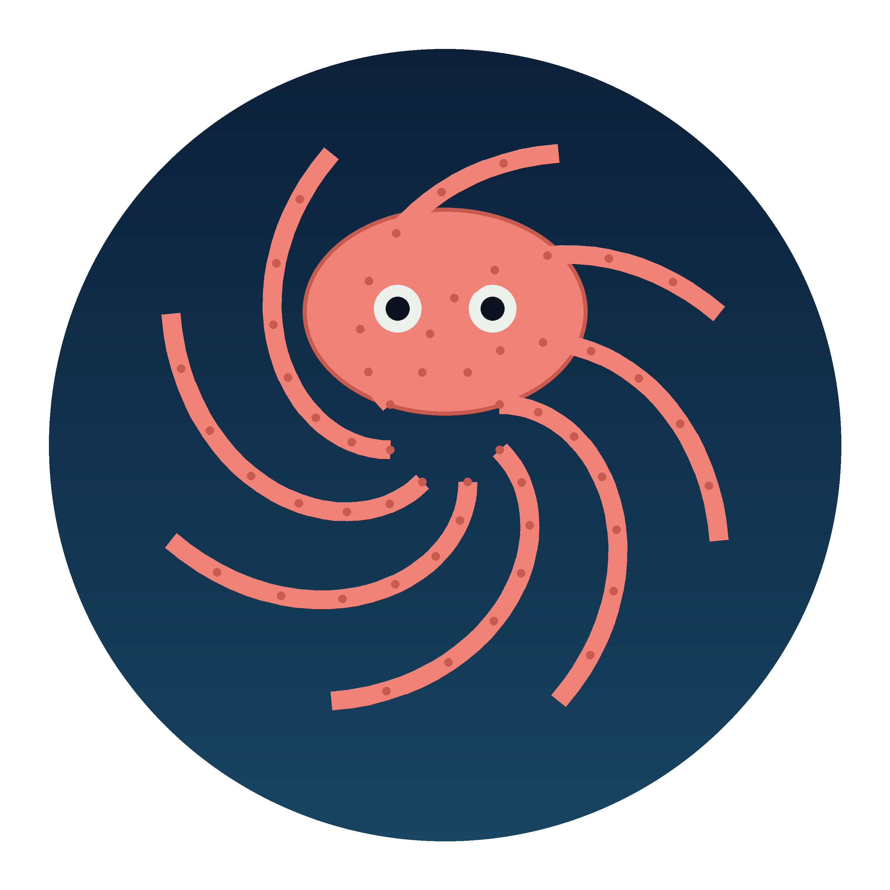 Octopus Spiral