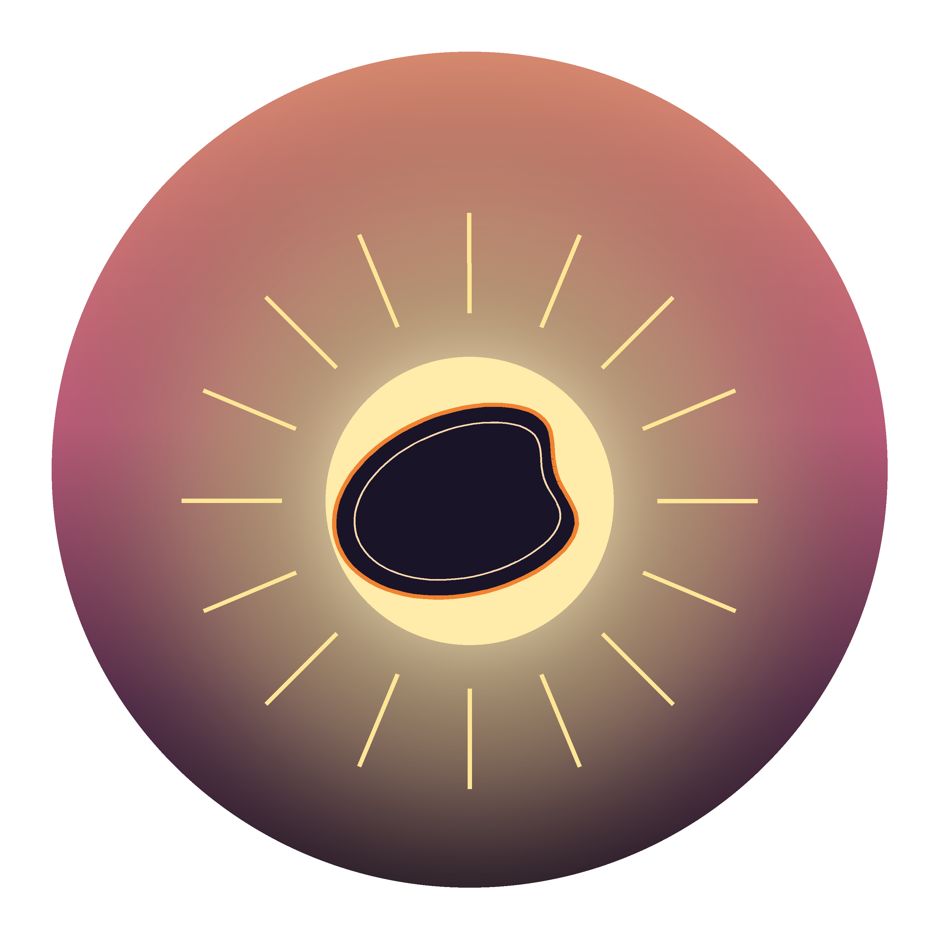 Bean Sunrise
